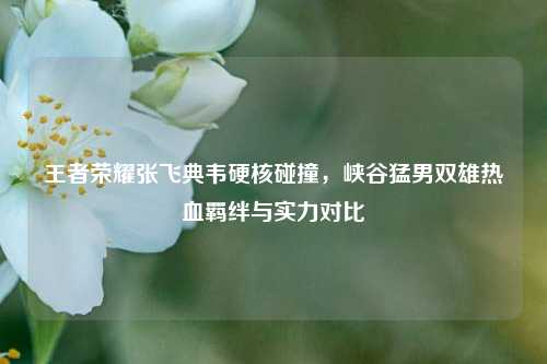 王者荣耀张飞典韦硬核碰撞,峡谷猛男双雄热血羁绊与实力对比