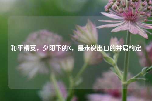 和平精英，夕阳下的X，是未说出口的并肩约定