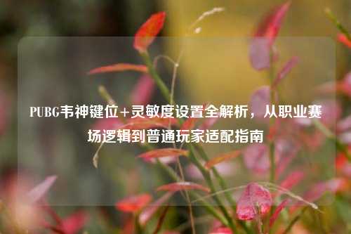 PUBG韦神键位+灵敏度设置全解析,从职业赛场逻辑到普通玩家适配指南