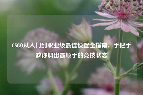CSGO从入门到职业级最佳设置全指南,手把手教你调出最顺手的竞技状态