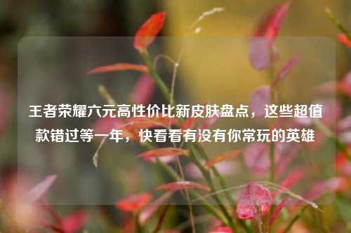 王者荣耀六元高性价比新皮肤盘点,这些超值款错过等一年,快看看有没有你常玩的英雄