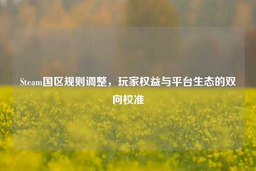 Steam国区规则调整,玩家权益与平台生态的双向校准