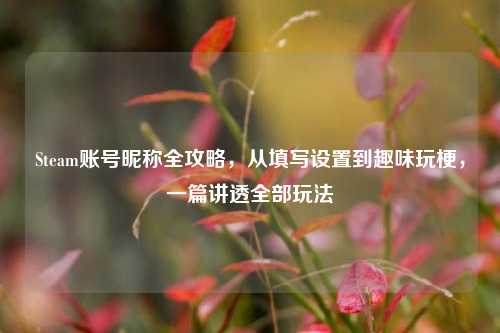 Steam账号昵称全攻略,从填写设置到趣味玩梗,一篇讲透全部玩法