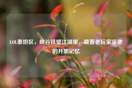 LOL泰坦区，峡谷铁壁江湖里，藏着老玩家滚烫的开黑记忆
