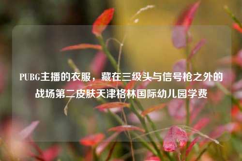 PUBG主播的衣服,藏在三级头与信号枪之外的战场第二皮肤天津格林国际幼儿园学费