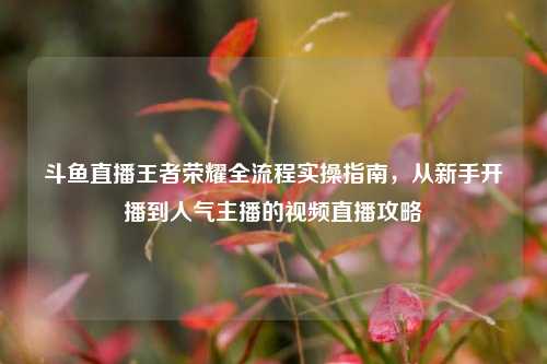 斗鱼直播王者荣耀全流程实操指南，从新手开播到人气主播的视频直播攻略