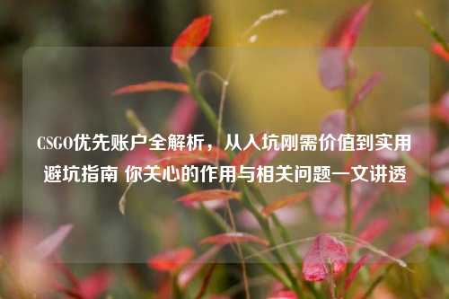 CSGO优先账户全解析,从入坑刚需价值到实用避坑指南 你关心的作用与相关问题一文讲透