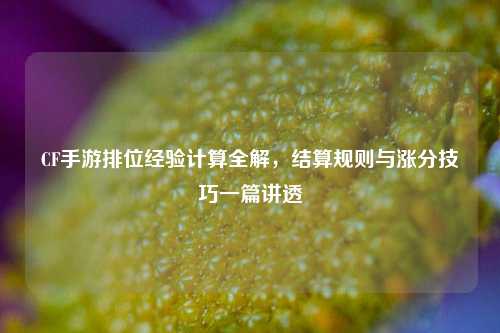 CF手游排位经验计算全解,结算规则与涨分技巧一篇讲透