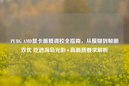 PUBG AMD显卡画质调校全指南,从模糊到帧画双优 吃透海岛光影+高画质要求解析