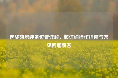 逆战翅膀装备位置详解,超详细操作指南与常见问题解答