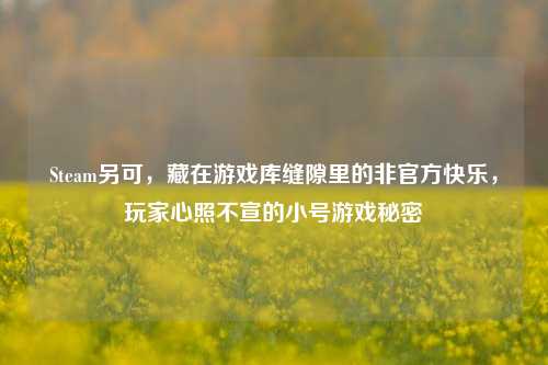 Steam另可,藏在游戏库缝隙里的非官方快乐,玩家心照不宣的小号游戏秘密