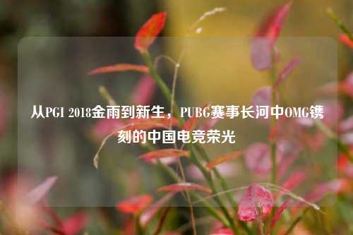 从PGI 2018金雨到新生,PUBG赛事长河中OMG镌刻的中国电竞荣光
