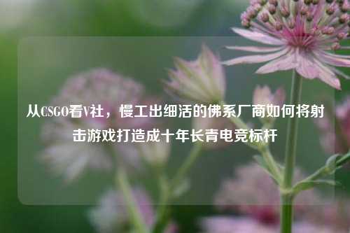 从CSGO看V社,慢工出细活的佛系厂商如何将射击游戏打造成十年长青电竞标杆