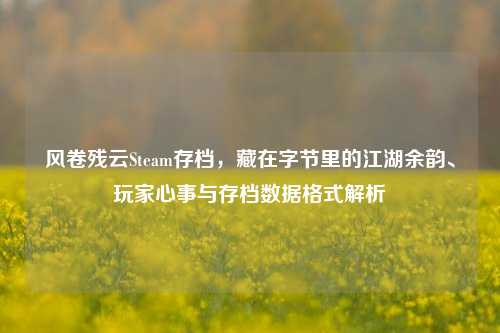风卷残云Steam存档，藏在字节里的江湖余韵、玩家心事与存档数据格式解析