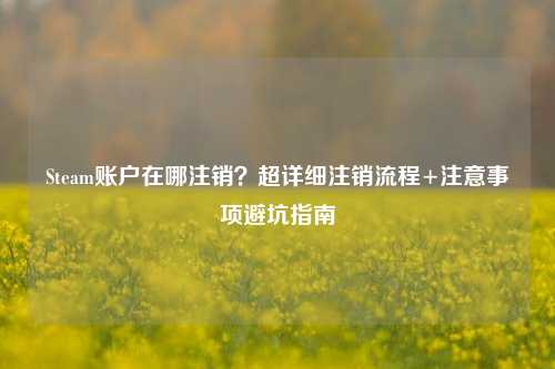 Steam账户在哪注销？超详细注销流程+注意事项避坑指南