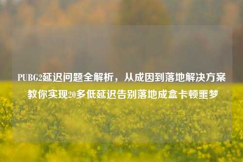 PUBG2延迟问题全解析，从成因到落地解决方案 教你实现20多低延迟告别落地成盒卡顿噩梦