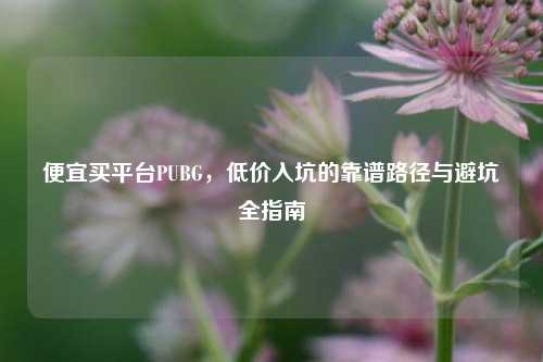 便宜买平台PUBG,低价入坑的靠谱路径与避坑全指南
