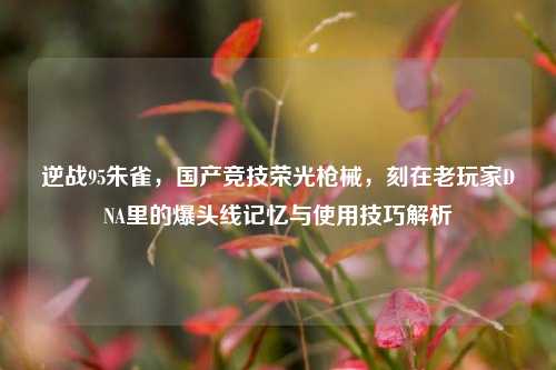 逆战95朱雀,国产竞技荣光枪械,刻在老玩家DNA里的爆头线记忆与使用技巧解析