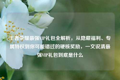 王者荣耀最强VIP礼包全解析，从隐藏福利、专属特权到你可能错过的硬核奖励，一文说清最强VIP礼包到底是什么