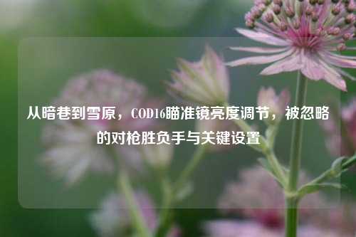 从暗巷到雪原,COD16瞄准镜亮度调节,被忽略的对枪胜负手与关键设置