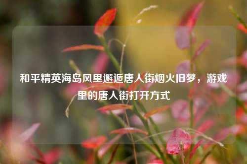 和平精英海岛风里邂逅唐人街烟火旧梦，游戏里的唐人街打开方式