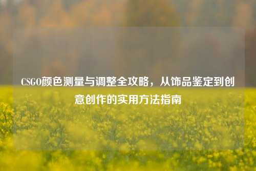 CSGO颜色测量与调整全攻略，从饰品鉴定到创意创作的实用方法指南