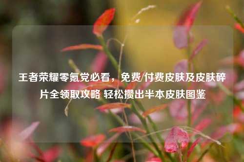 王者荣耀零氪党必看，免费/付费皮肤及皮肤碎片全领取攻略 轻松攒出半本皮肤图鉴