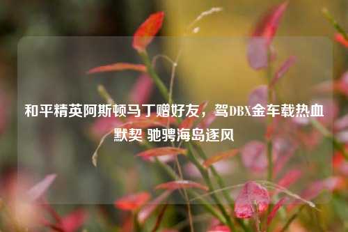 和平精英阿斯顿马丁赠好友，驾DBX金车载热血默契 驰骋海岛逐风