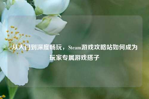 从入门到深度畅玩,Steam游戏攻略站如何成为玩家专属游戏搭子