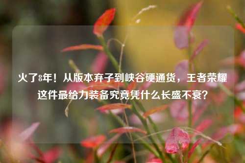 火了8年!从版本弃子到峡谷硬通货,王者荣耀这件最给力装备究竟凭什么长盛不衰?