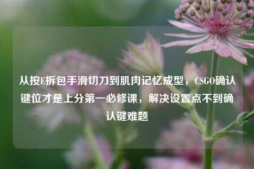 从按E拆包手滑切刀到肌肉记忆成型,CSGO确认键位才是上分第一必修课,解决设置点不到确认键难题