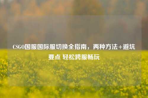 CSGO国服国际服切换全指南,两种方法+避坑要点 轻松跨服畅玩