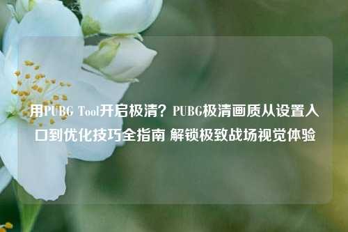 用PUBG Tool开启极清?PUBG极清画质从设置入口到优化技巧全指南 解锁极致战场视觉体验