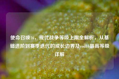 使命召唤16,现代战争等级上限全解析,从基础进阶到赛季迭代的成长边界及cod16最高等级详解