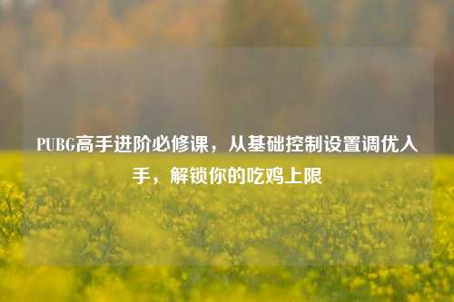 PUBG高手进阶必修课,从基础控制设置调优入手,解锁你的吃鸡上限