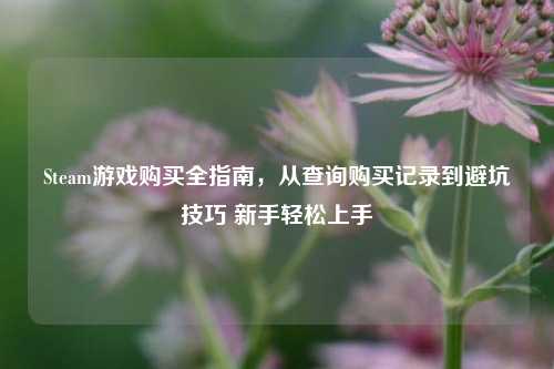 Steam游戏购买全指南,从查询购买记录到避坑技巧 新手轻松上手