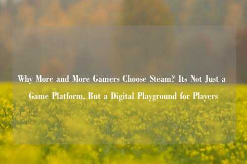 Why More and More Gamers Choose Steam? Its Not Just a Game Platform, But a Digital Playground for Players