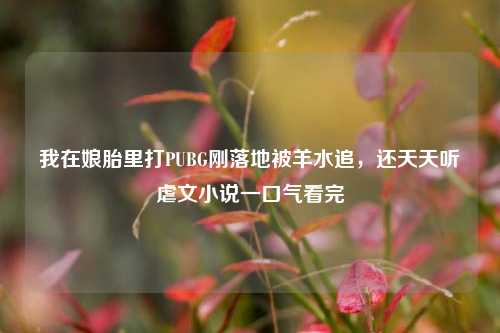 我在娘胎里打PUBG刚落地被羊水追，还天天听虐文小说一口气看完