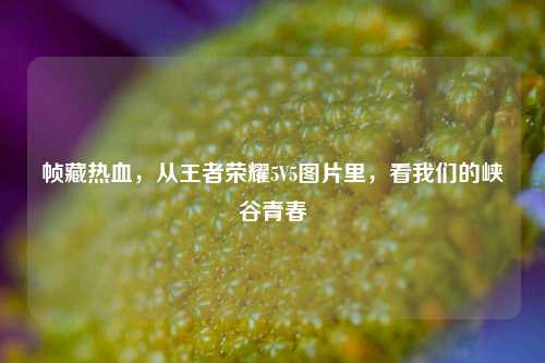 帧藏热血,从王者荣耀5V5图片里,看我们的峡谷青春