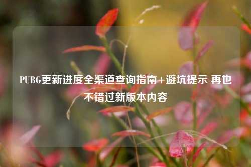 PUBG更新进度全渠道查询指南+避坑提示 再也不错过新版本内容
