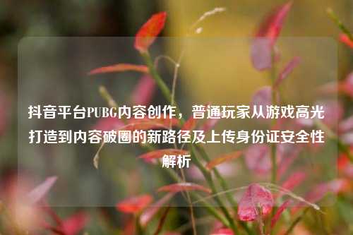 抖音平台PUBG内容创作,普通玩家从游戏高光打造到内容破圈的新路径及上传身份证安全性解析