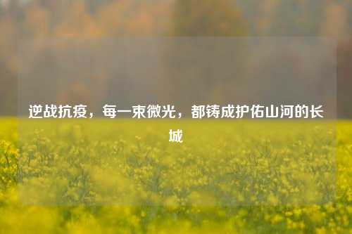 逆战抗疫,每一束微光,都铸成护佑山河的长城