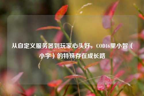 从自定义服务器到玩家心头好，COD16里小智（小宇）的特殊存在成长路