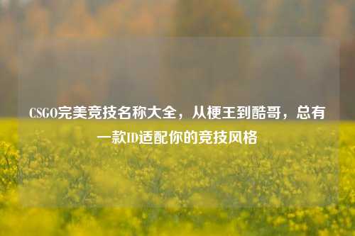 CSGO完美竞技名称大全,从梗王到酷哥,总有一款ID适配你的竞技风格