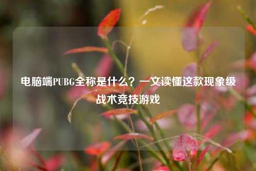 电脑端PUBG全称是什么？一文读懂这款现象级战术竞技游戏