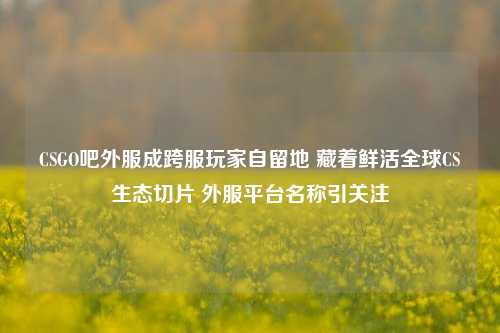 CSGO吧外服成跨服玩家自留地 藏着鲜活全球CS生态切片 外服平台名称引关注