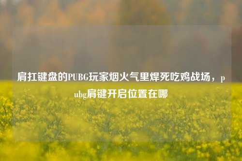肩扛键盘的PUBG玩家烟火气里焊死吃鸡战场，pubg肩键开启位置在哪