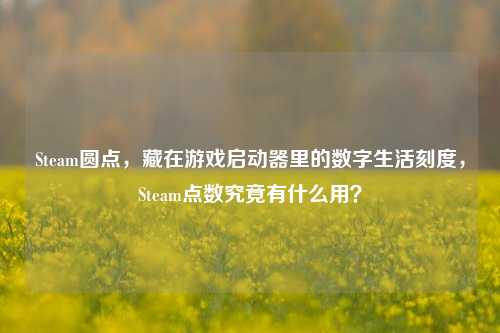 Steam圆点,藏在游戏启动器里的数字生活刻度,Steam点数究竟有什么用?