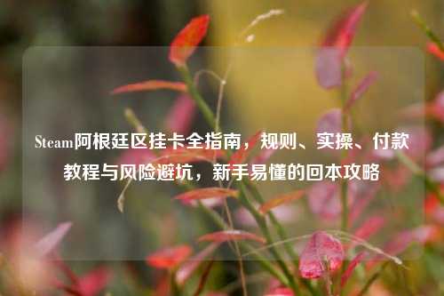 Steam阿根廷区挂卡全指南,规则、实操、付款教程与风险避坑,新手易懂的回本攻略