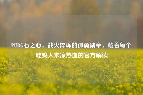 PUBG石之心,战火淬炼的孤勇勋章,藏着每个吃鸡人未凉热血的官方解读